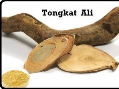 Tongkat Ali : Découverte de Ses Incroyables Bienfaits sur la Santé Globale