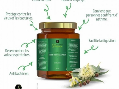 Découverte du miel d'eucalyptus : Bienfaits et secrets pour votre santé